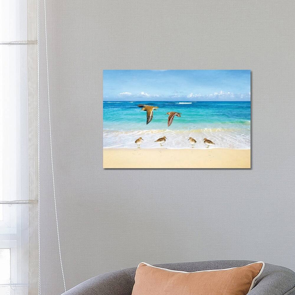 iCanvas "Sandpiper Ocean Beach Party" by Laura D Young Canvas Print