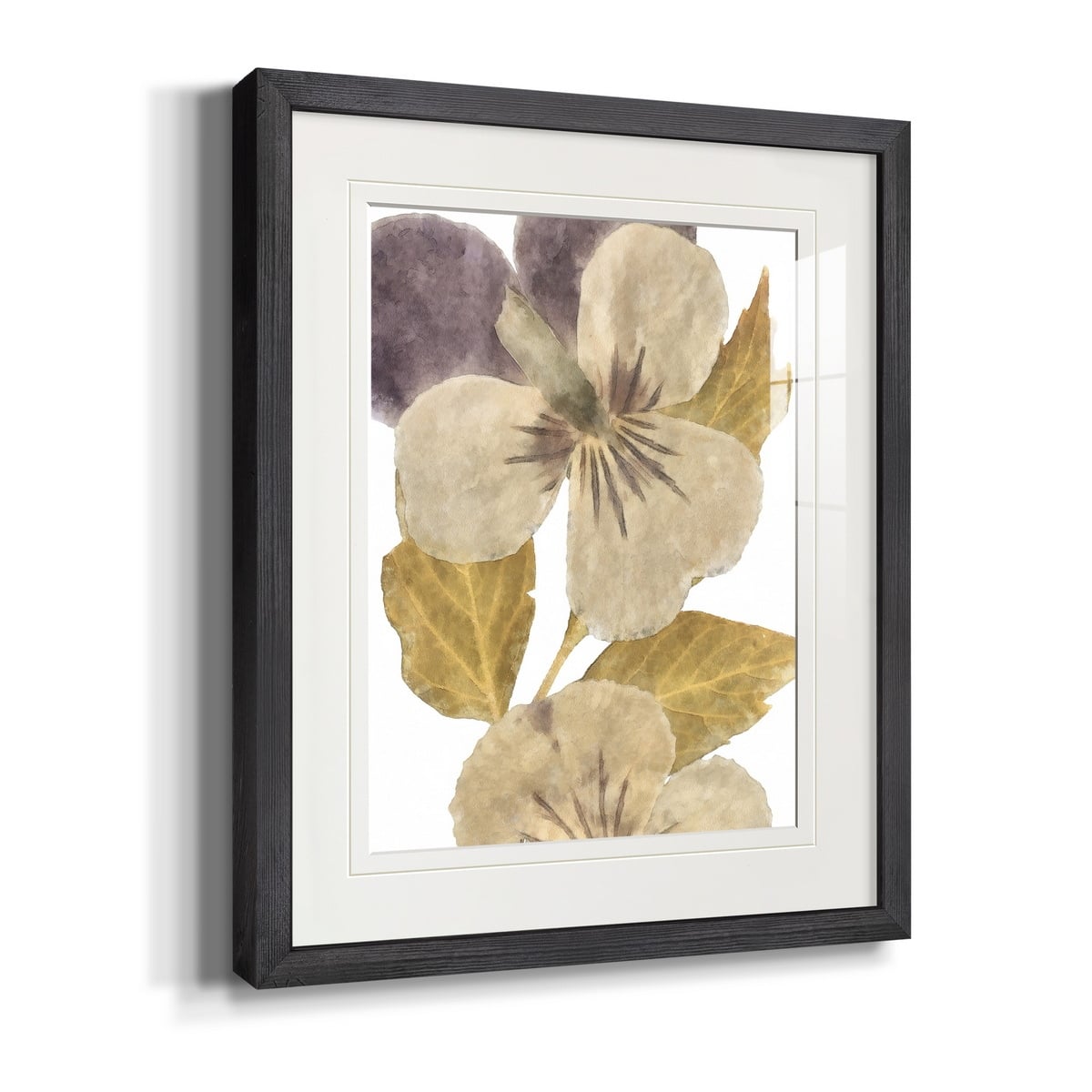 Neutral Pansy I Premium Framed Print Ready to Hang MultiColor