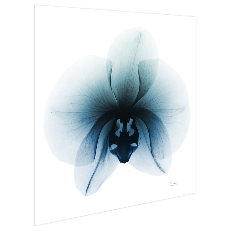 "Glacial Orchid" Frameless Free Floating Tempered Glass Panel Graphic Wall Art