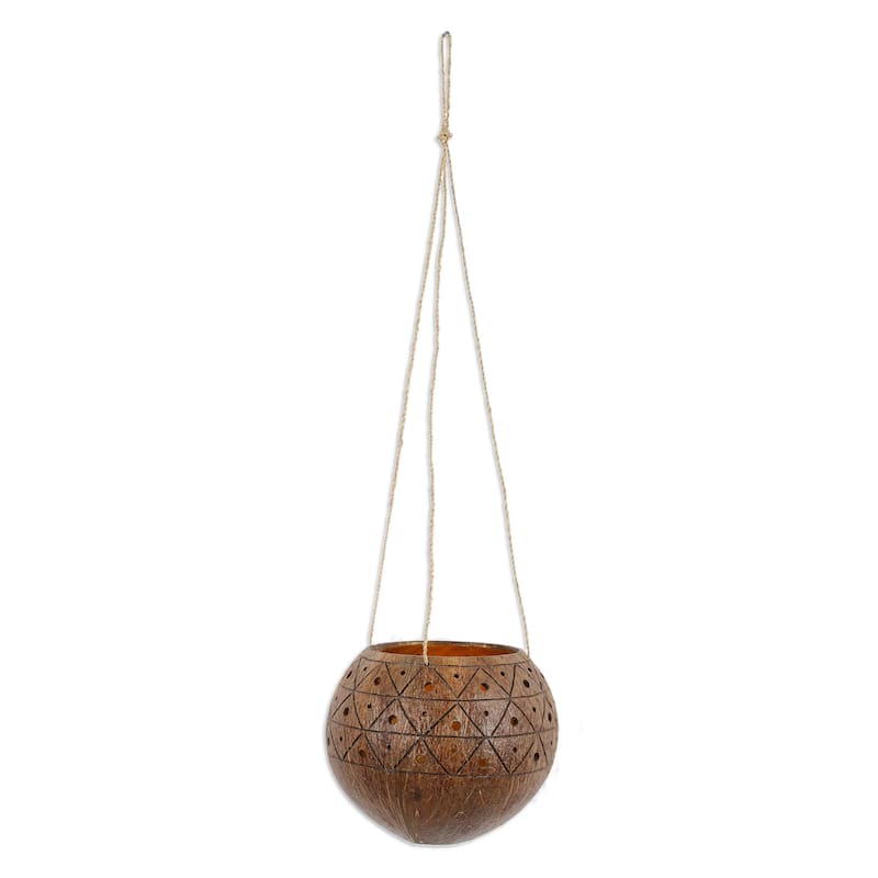 Novica Handmade Raindrops Coconut Shell Hanging Planter