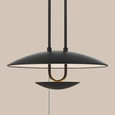Hunter Sunset Ridge Matte Black Light Large Pendant Ceiling Light Fixture