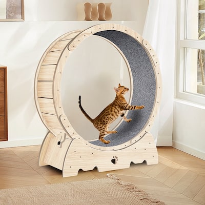 Cat Exercise Wheel,Cat Running Wheel with Carpeted Runway