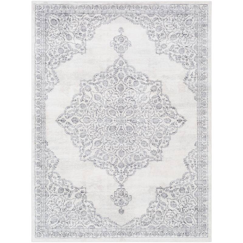 Slater Persian Medallion Area Rug