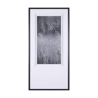 Summer Light I Framed Art Print