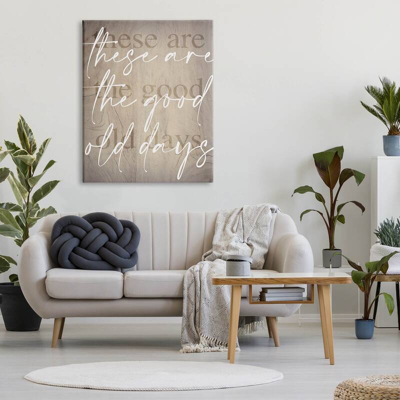 Stupell These Are The Good Old Days Phrase Canvas Wall Art by Lil' Rue