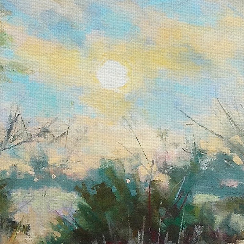 Texas Sunrise by Nancie King Mertz Canvas Art Print