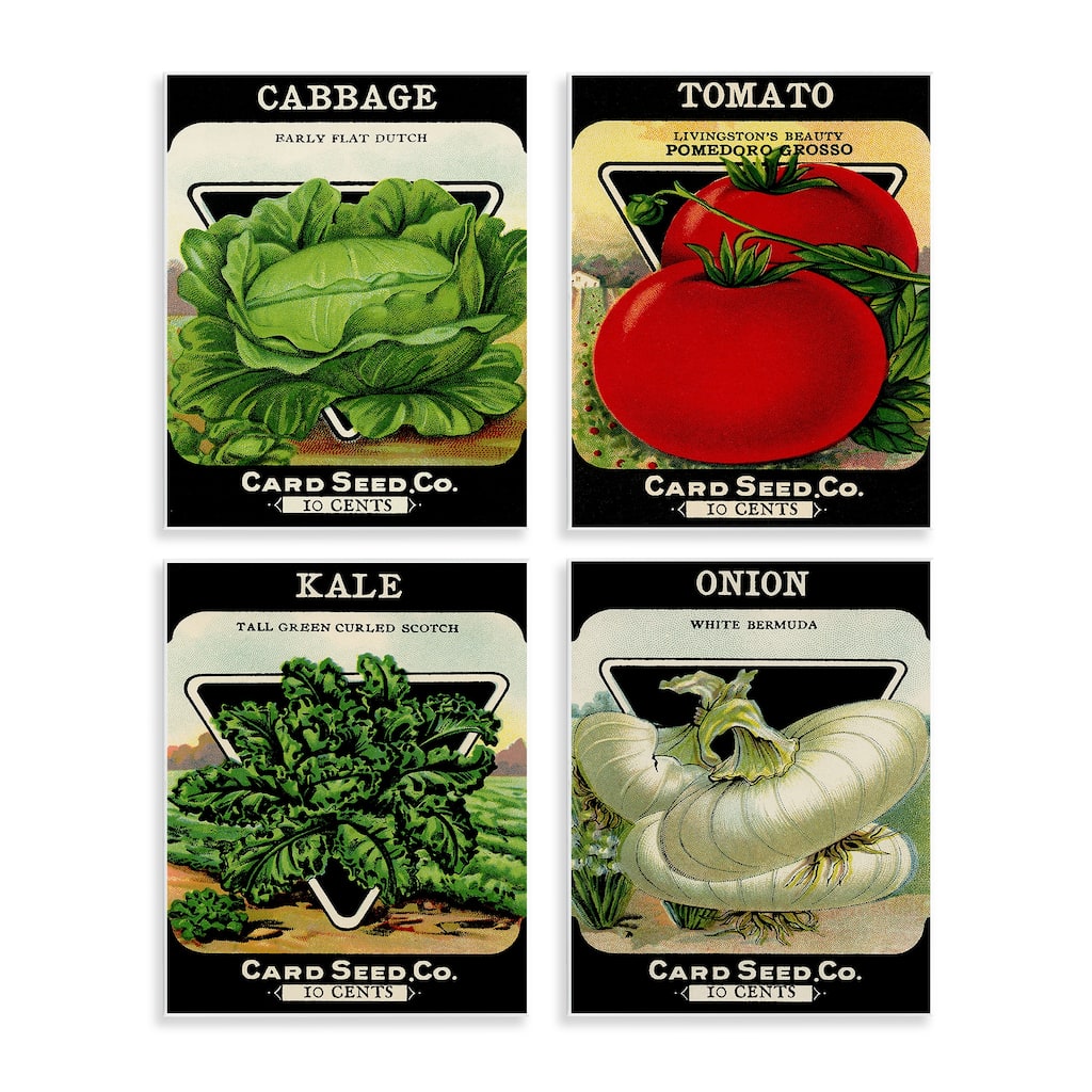 Stupell Vintage Garden Cabbage Wall Plaque Art Design By Lil' Rue (Set of 4)