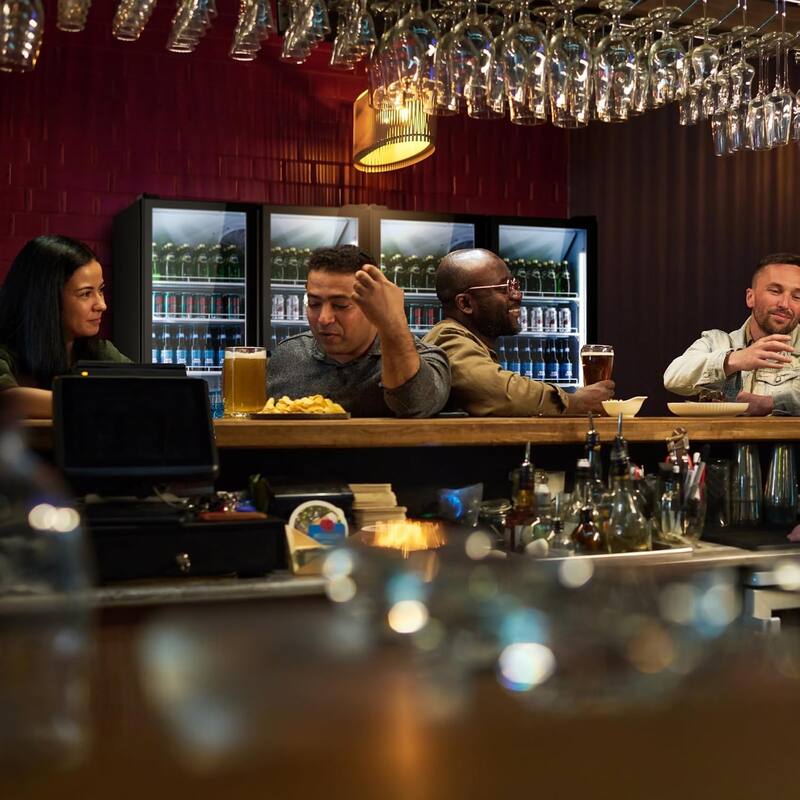 21.7 in. 12.4 cu. ft Merchandiser Refrigerator in Black Commercial Beverage Cooler Adjustable Shelves Dual Glass Door