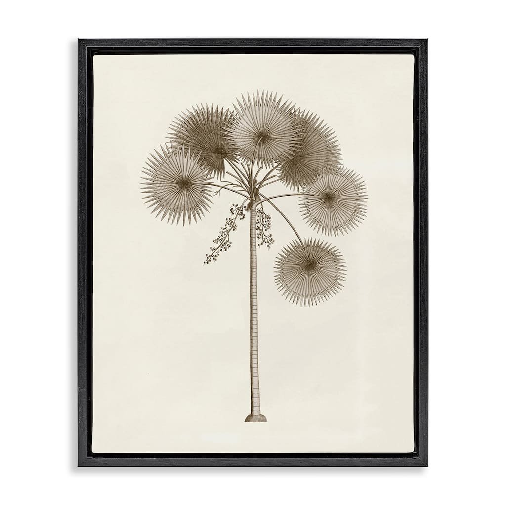 Stupell Vintage Study of Palm Tree Framed Floater Canvas Wall Art Design By Phillipa Katz