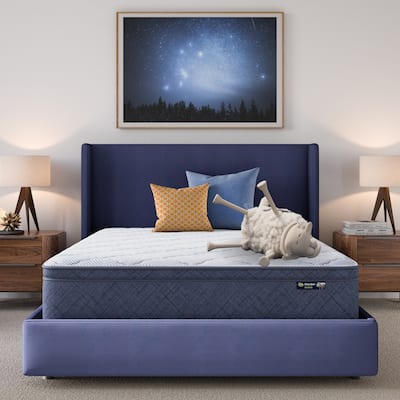 Serta Five Star Mattress Sleep to Go 12" Plush Pillow Top Mattress in a Box