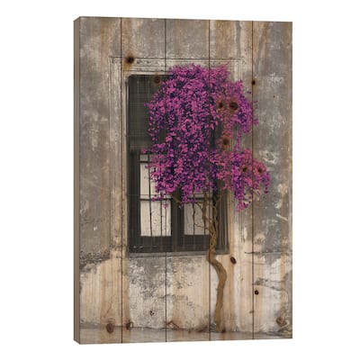 Tree in Front of Window Purple Pop Color Pop Print On Wood by Panoramic Images - Multi-Color