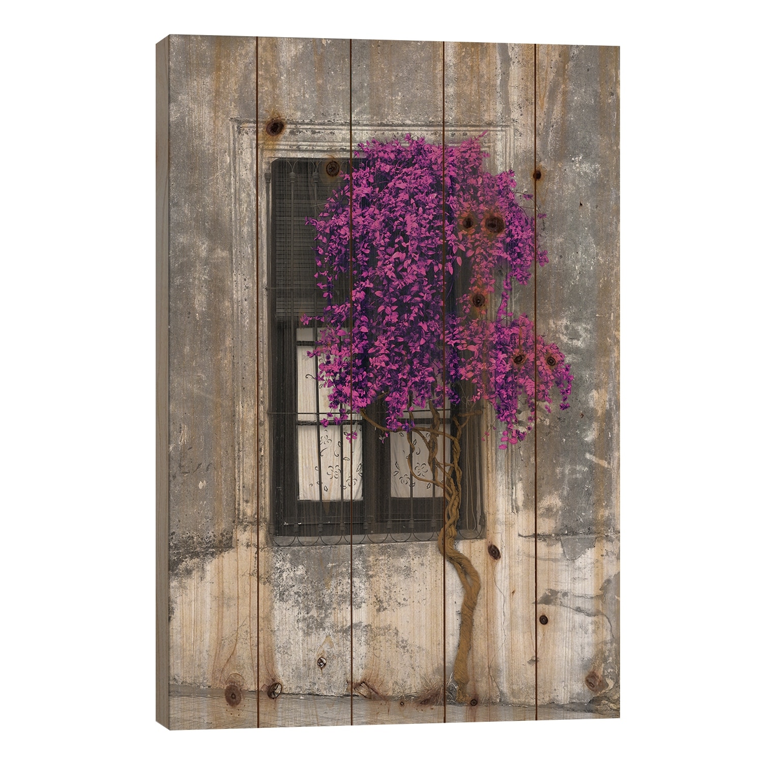 Tree in Front of Window Purple Pop Color Pop Print On Wood by Panoramic Images - Multi-Color