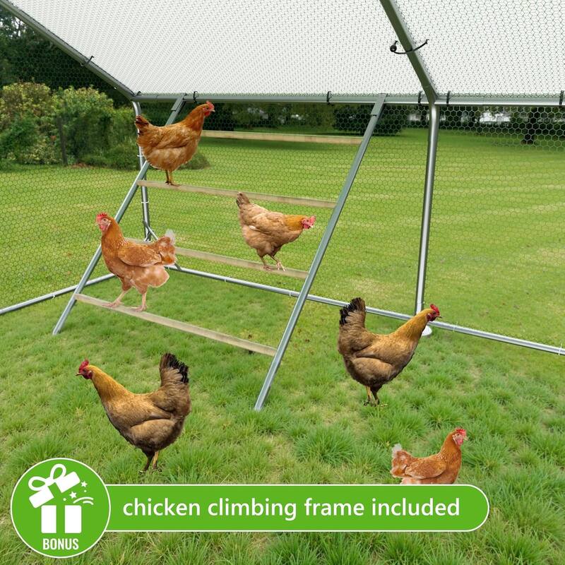 Large Metal Walk in Chicken Coop with Roosting Perch
