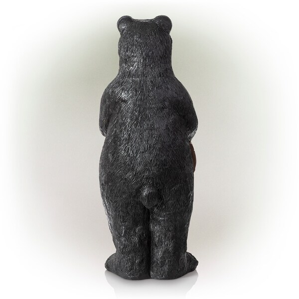 36 inch bear