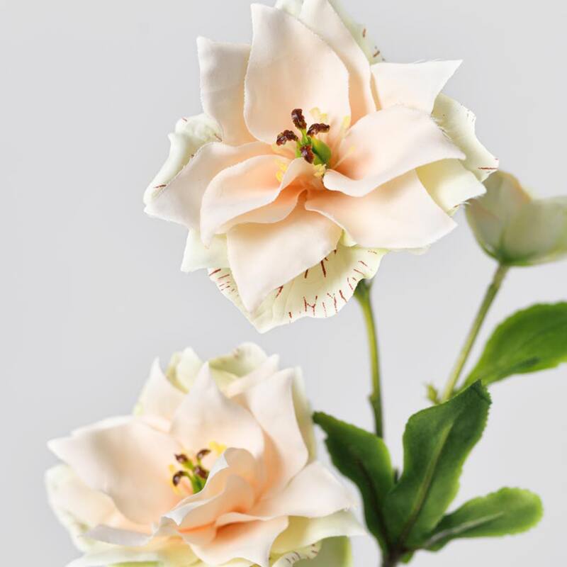 Silk Decorative Artificial Persian Buttercup(Pack of 1 Branch)