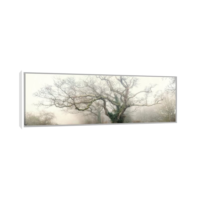 iCanvas "Panoramic Octopus Ghost Oak" by Philippe Manguin Framed Canvas Print - 16x48 - White