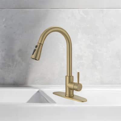 Kitchen Faucet with Pull-Out Sprayer & Deck Plate, Gold Nickel