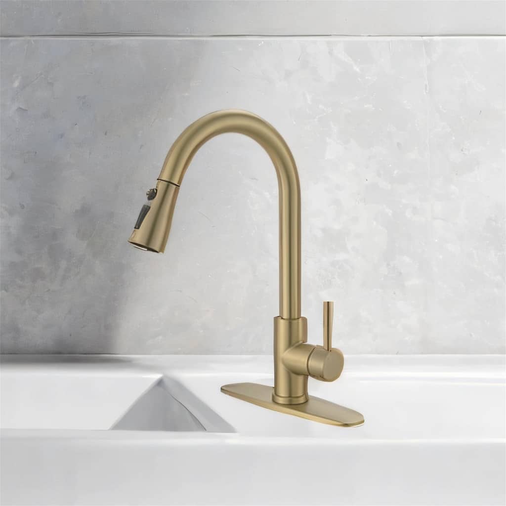 Kitchen Faucet with Pull-Out Sprayer & Deck Plate, Gold Nickel