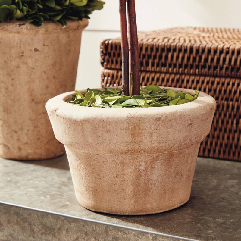 Boxwood Topiaries In Pots, Set Of 8