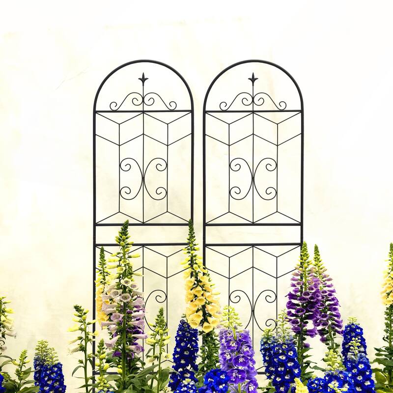 2 Pack Metal Garden Trellis 71in x 19.7in Rustproof Trellis
