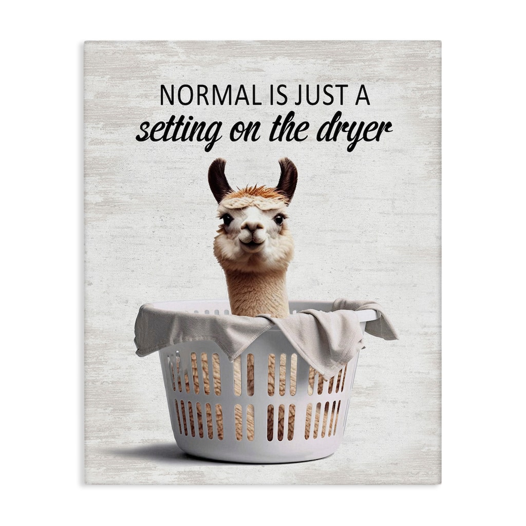 Stupell Funny Normal Dryer Quote Canvas Wall Art Design By Lettered and Lined