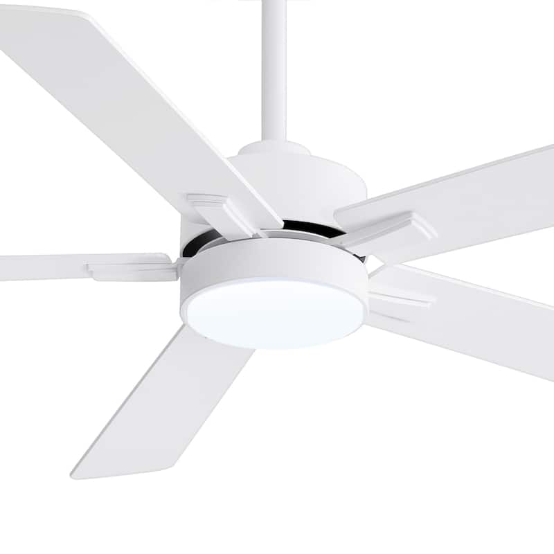 52-IN LED Ceiling Fan with Light Kit and Remote- 5 Blade