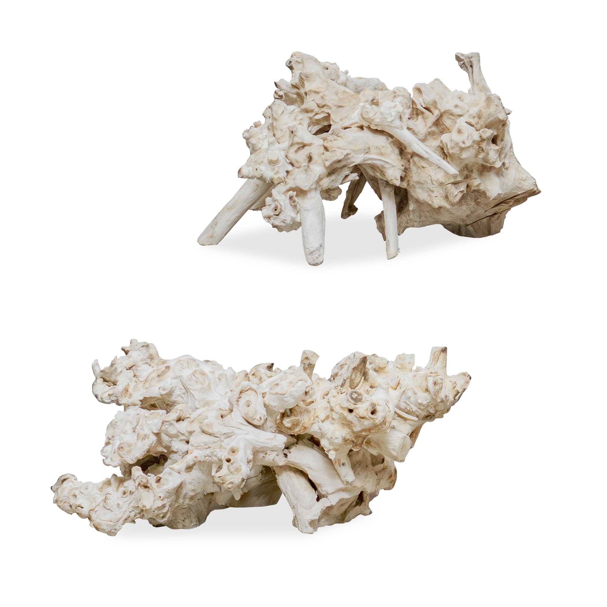 Uttermost Elemental Root Outdoor Sculptures (Set of 2)