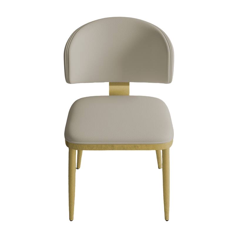 Ergonomic Dining Chairs with Cushioned Seat, Carbon Steel, Set of 2