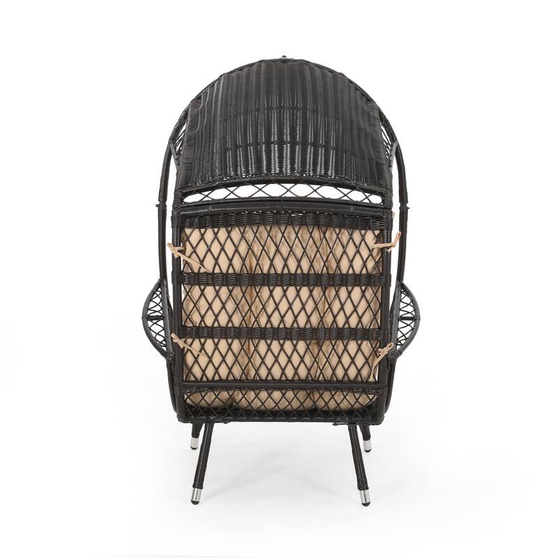 Malia Outdoor Cushioned Wicker Basket Chair by Christopher Knight Home