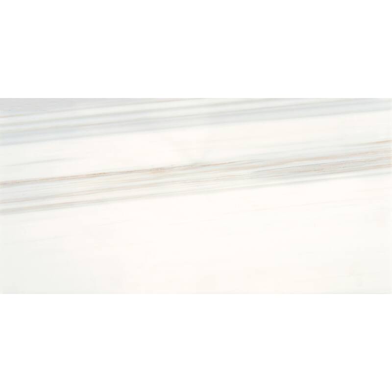 Daltile Pietra Divina 12" x 24" Marble Natural Stone Tile in Polished (6 PC Per Carton) (12.00 SQFT Per Carton)