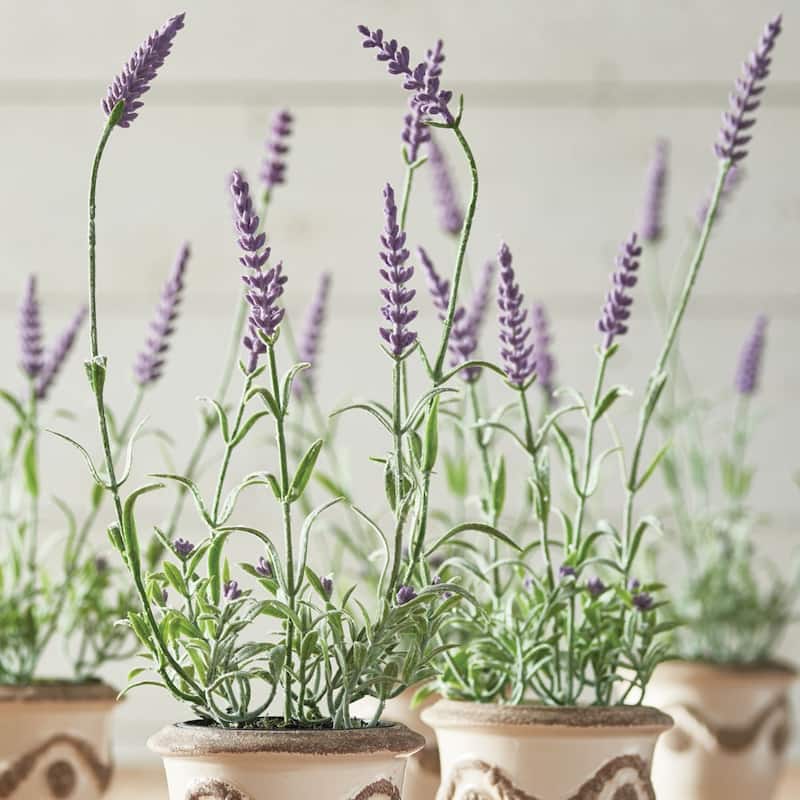 French Lavender Drop-In 13", Set Of 6 - Purple