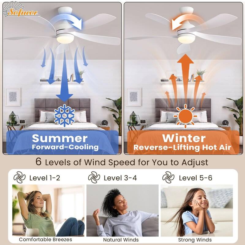 52 Inch Ceiling Fan with Remote & Lights Quiet DC Motor 5 Blade High CFM Modern Fan