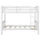 preview thumbnail 5 of 10, Twin Over Twin Wood Bunk Bed with Ladder, White