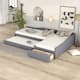Option Gray