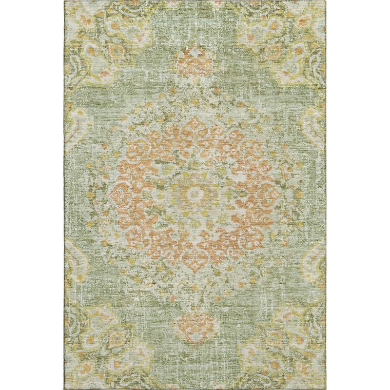 Premium Washable Super Soft Vintage Traditional Mayfield Rug