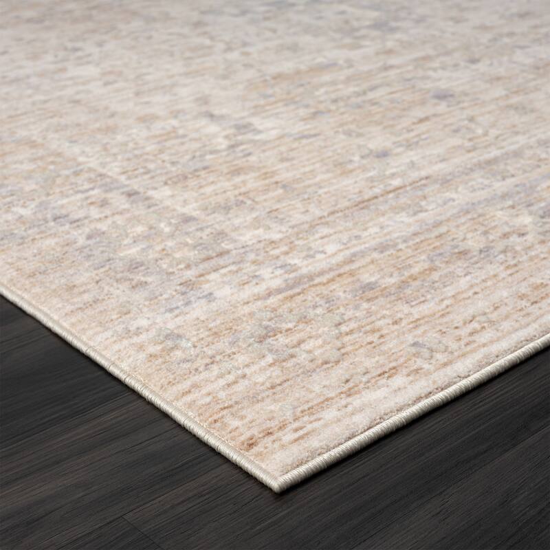Sevita Luna High-LowTextured Traditional Performance Indoor Area Rug