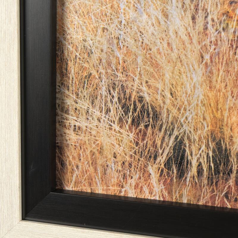 Bold Adventure Framed Art Print