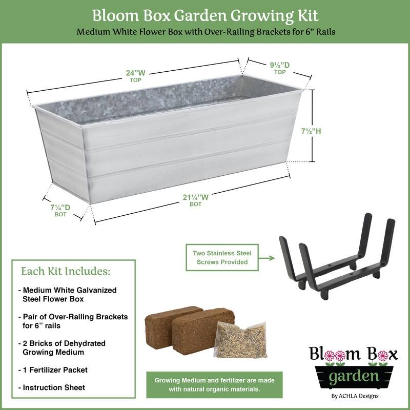 Achla Designs 24" W Medium Galvanized Steel/Wrought Iron Indoor Outdoor Bloom Box Garden Growing Kit