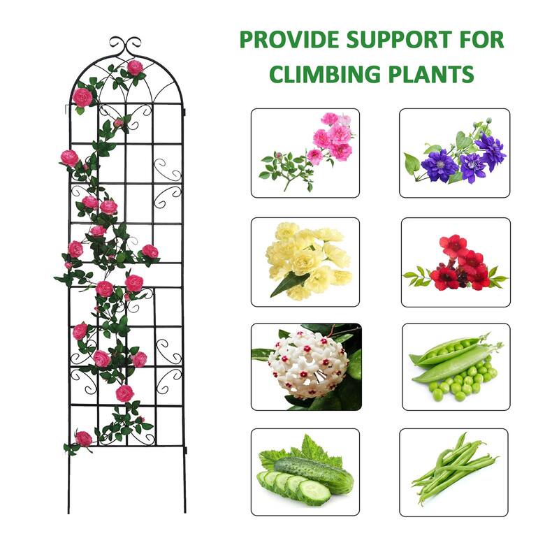Black 2 Pack Metal Garden Rustproof Trellis Outdoor Flower Support