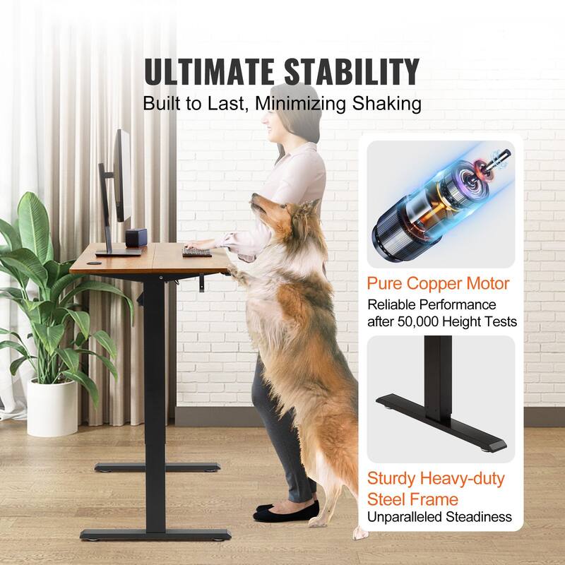Brown Electric Sit Standing Desk, Adjustable Height, 180 lbs Capacit and Memory Presets