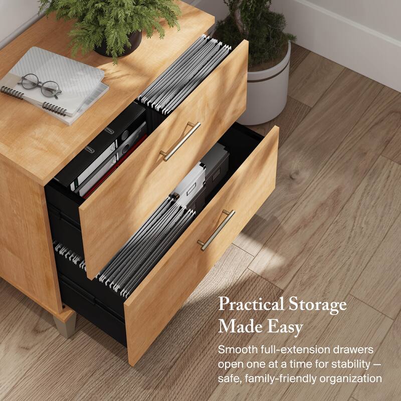 Bush Furniture Somerset 2 Drawer Lateral File Cabinet with Storage