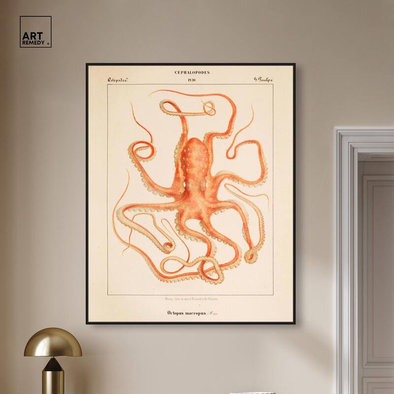 Verany The Octopus 1815 I Canvas by Art Remedy