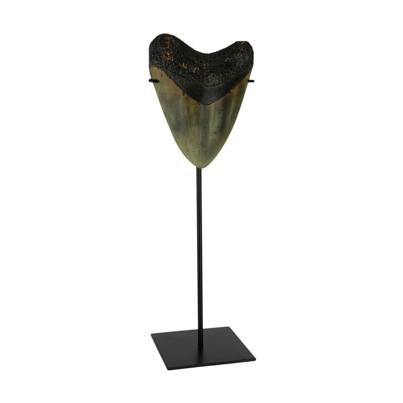 Mounted Giant Megalodon Imitation Shark Tooth Fossil Sculpture - 13.75 X 4.5 X 4 inches