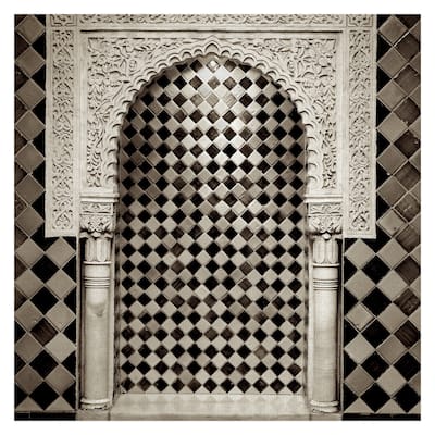 Espal #5 by Alan Blaustein Canvas Art Print