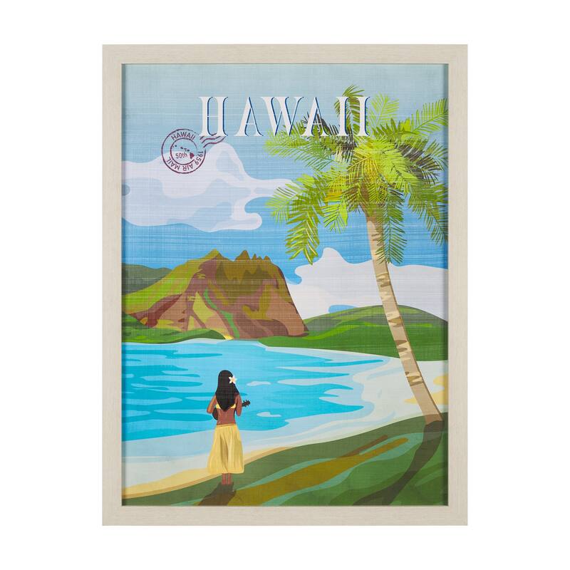 Hawaii Go USA by Mercana Studio a Hand Embellished Framed Art Print Series - 33 x 43 - Brown