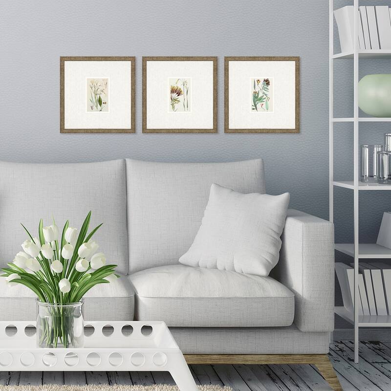 Antique Botanical I S/3 Framed Art Under Glass - Green