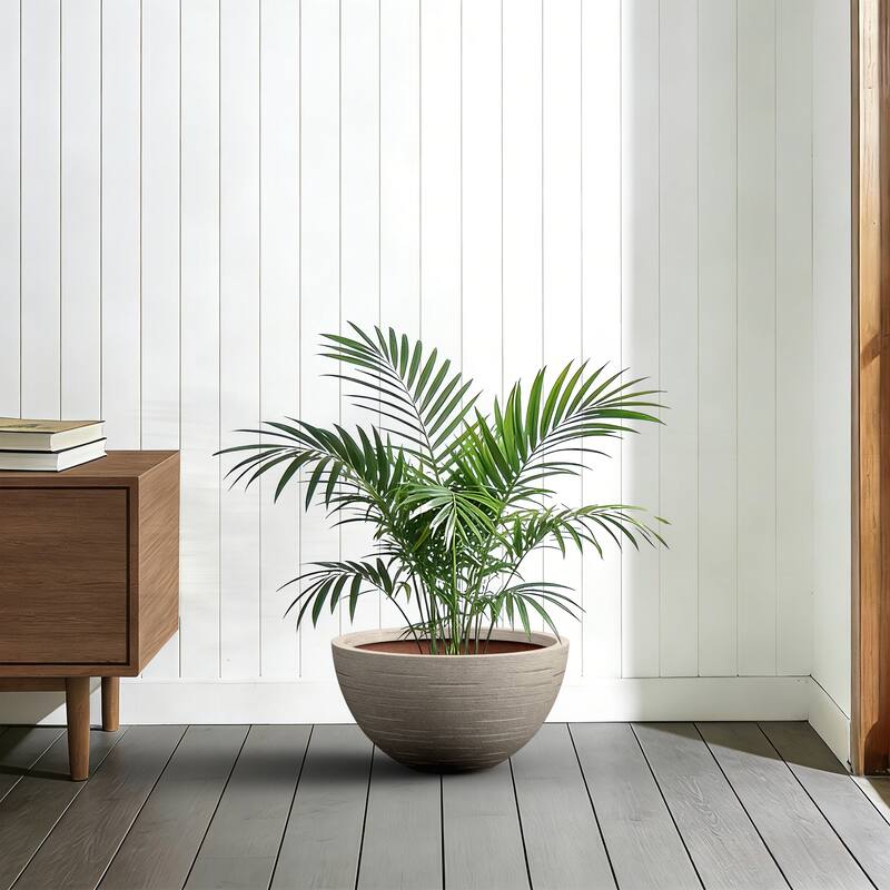 Concrete Round Loghtweight Planterwith Drainage Holes