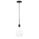 Option Black / Clear