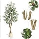 preview thumbnail 3 of 22, Artificial Olive Tree, Faux Silk Plant with White Planter, Natural Trunk & Fruits for Home or Office Decor, 1 Pack