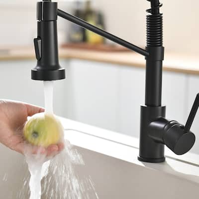 Pull-out Dual-function Water Faucet